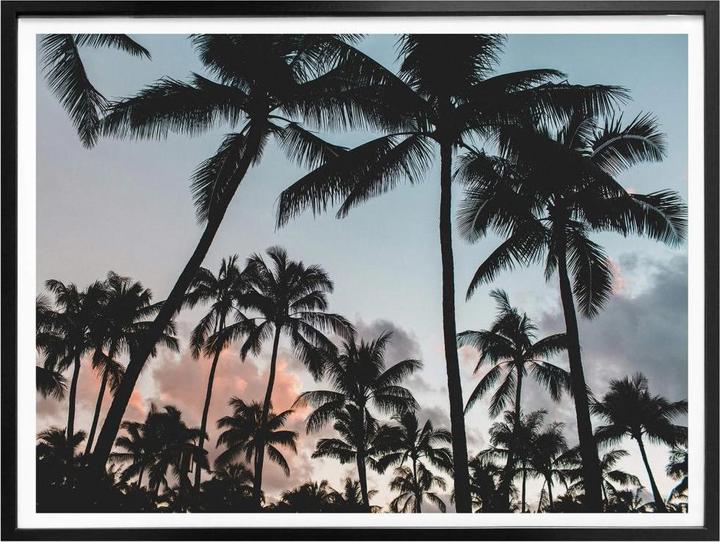 Produktbild Trenddeko Sunset and Palms (50 x 40 cm)