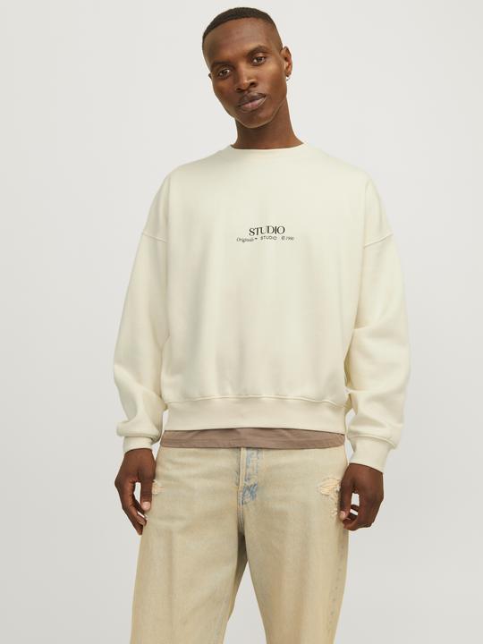 Actual product image Jack & Jones Jorbrooklyn Graphic Sweat Crew Neck Ln (S)