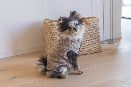 Produktbild Designed by Lotte Hundepullover Madeleine (S, Hundepullover)