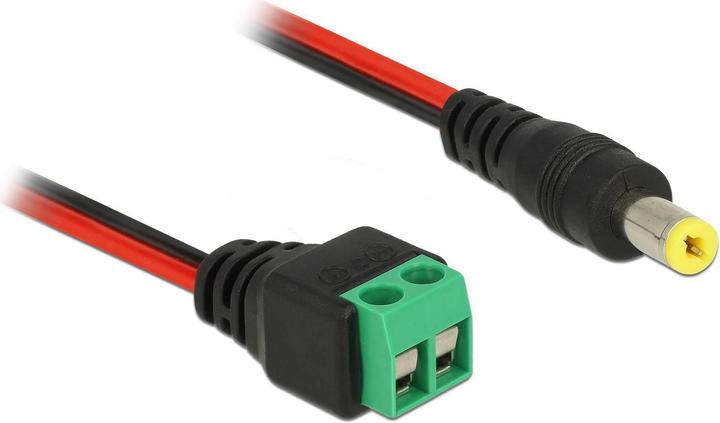 Actual product image Delock DC connector to 2 pin terminal block (Power cables)