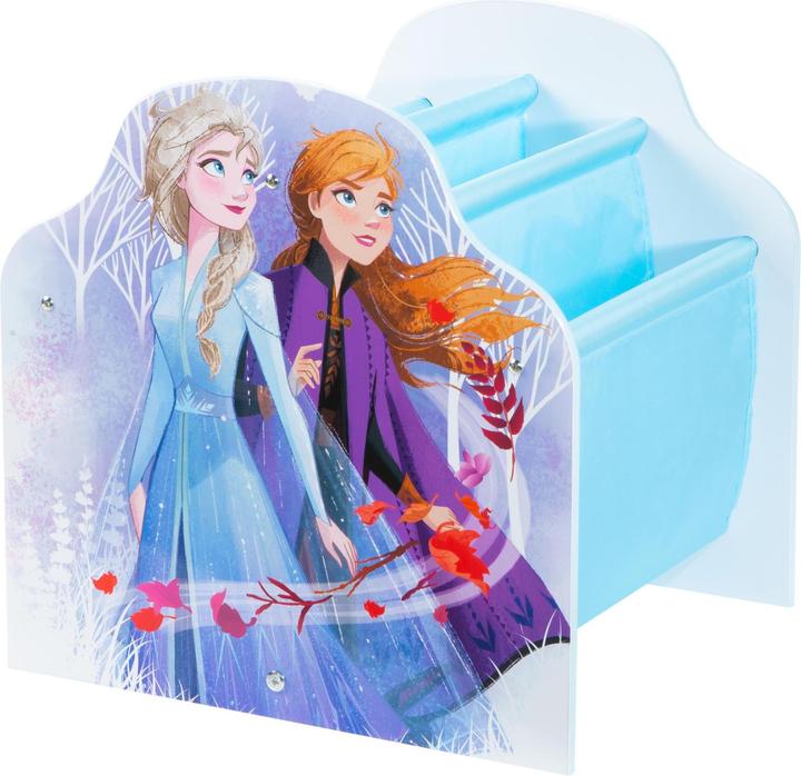 Actual product image Worlds Apart World Apart bookshelf Frozen 2