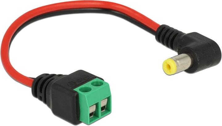 Actual product image Delock DC connector to 2 pin terminal block (Network Accessories, Network cable)