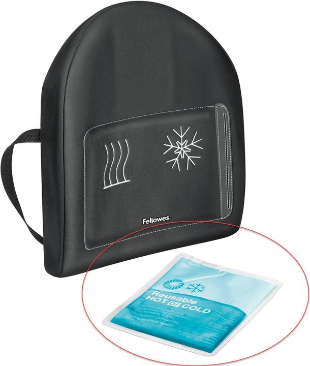 Actual product image Fellowes Gel Pack for back support Professional Series