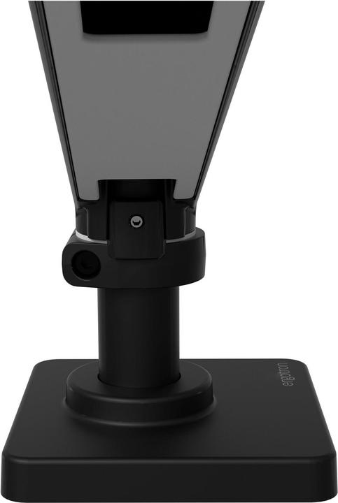 Image du produit Ergotron LX PRO ARM DUAL DIRECT DESK MOUNT black (Tables, 27")