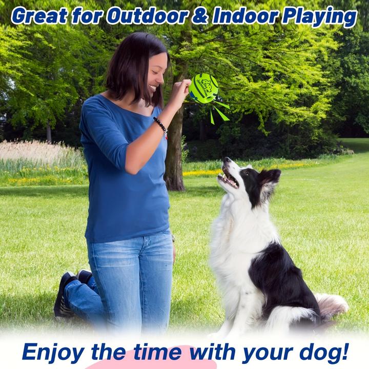 Produktbild Alopini 1 Stück Pet Voice Ball Toy, Hund IQ Training Ball Toy, ohne Batterie (Ballspielzeug Hund)