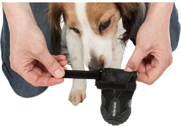 Image du produit Trixie Protection pour pattes Walker Active XS (XS, Chaussures pour chien)