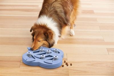 Image du produit Nina Ottosson Chien Hide N' Slide (Jouet intelligent chien)