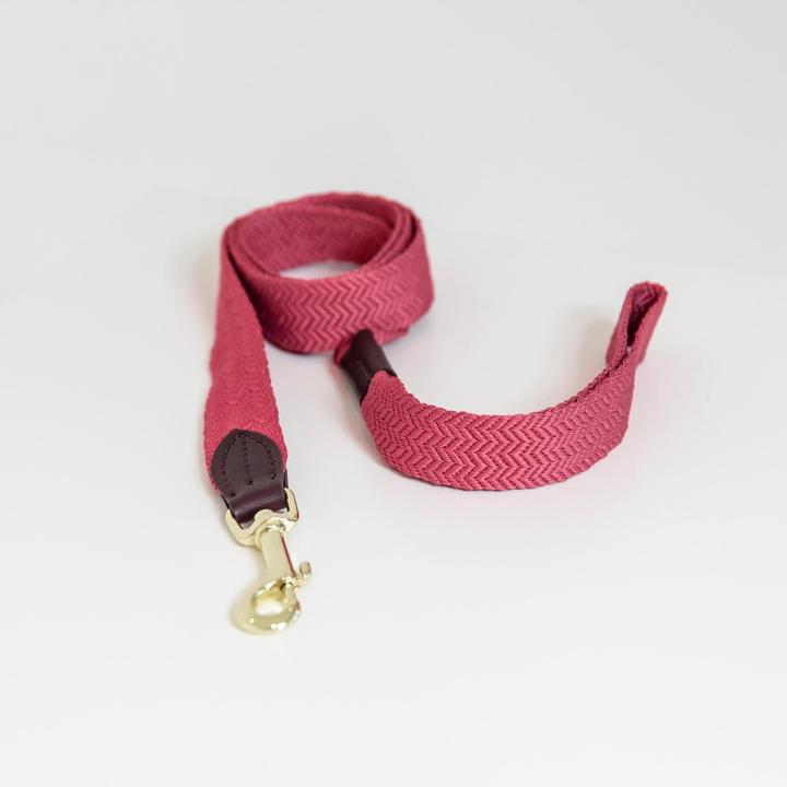 Produktbild Kentucky Dogwear Hundeleine Jacquard (140, Hund, Allgemein)