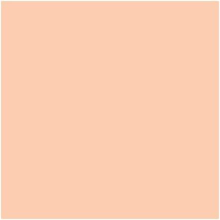 Image du produit MAC Cosmetics Studio Fix 24-Hour Smooth Wear Concealer (NW25)