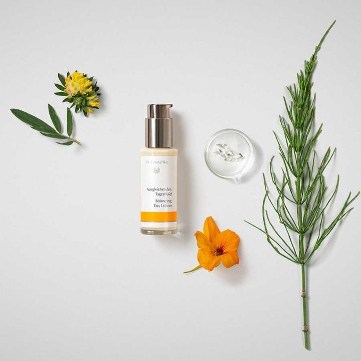 Produktbild Dr. Hauschka Ausgleichendes Tagesfluid (50 ml)