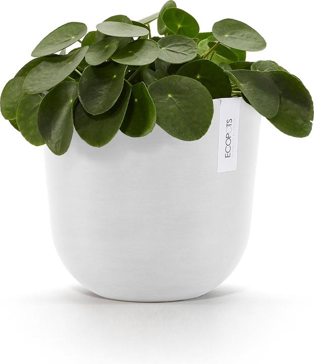Actual product image Ecopots Oslo (35 cm)