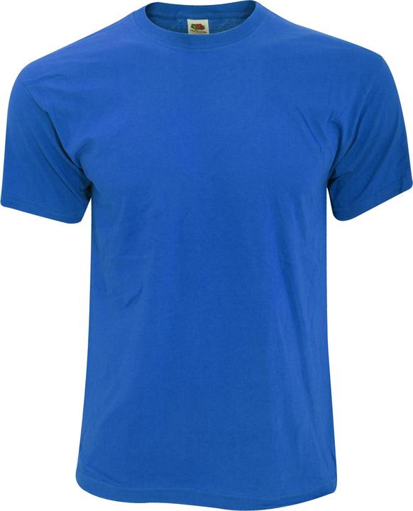 Fruit of the Loom Screen Stars Original TShirt
