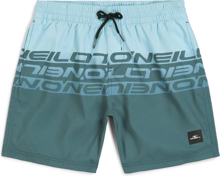 O'Neill Cali Stripe 14" Swimshorts (164)