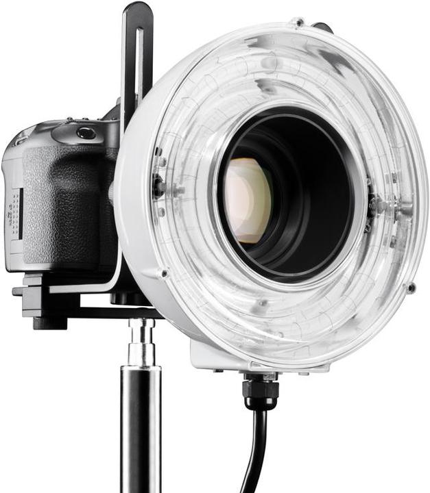 Image du produit Walimex Flash annulaire RD-600 (600 W, Tête de flash)