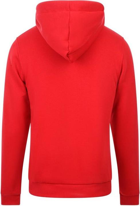 Actual product image Pure Sports Hoodie for Men (L)