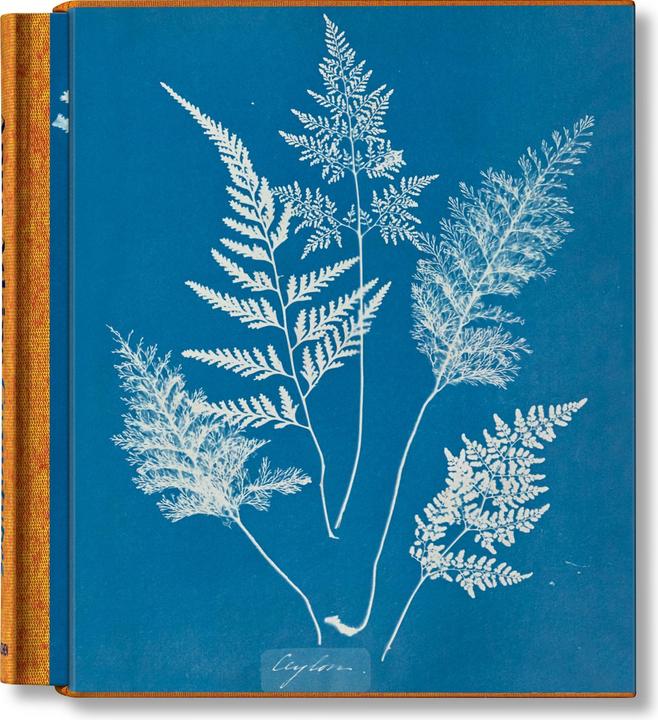 Produktbild Anna Atkins. Cyanotypes (Englisch, Französisch, Deutsch, Walther, Peter, 2023)