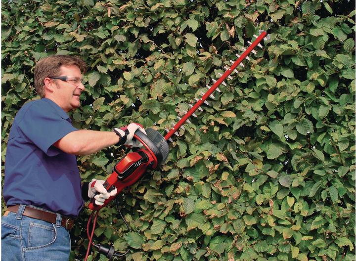 Image du produit Einhell Ge-Eh 6560 (Taille-haie électrique)
