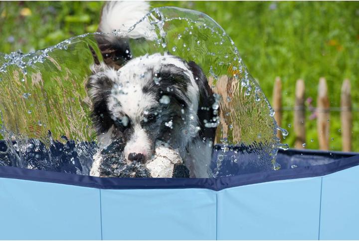 Image du produit Champ Grande piscine pour chiens (Piscine pour chiens)