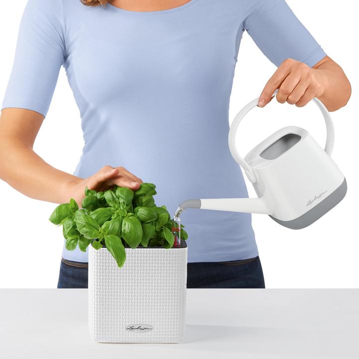 Actual product image Lechuza Green Wall Home Kit (15 cm)