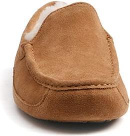 Actual product image Ugg Ascot (43)