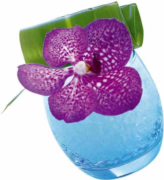 Actual product image Sellmer Salto ice blue cup 32cl Ø89mm h:83mm (0.32 l, 1 x)