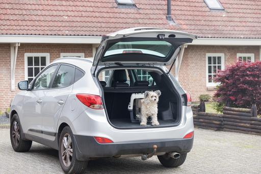 Produktbild Karlie Nomad (Hund, Katze, Abschliessbar)