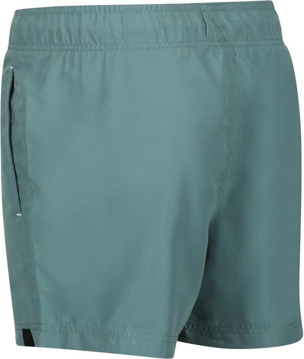Produktbild Regatta Mawson III Kurze Hose (XXL)