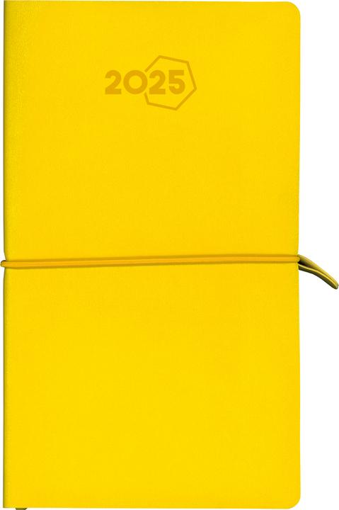 Produktbild Aurora Agenda Visuplan Tesoro 2025 2016 1W/2S ass. ML 9x16.5cm (Deutsch)