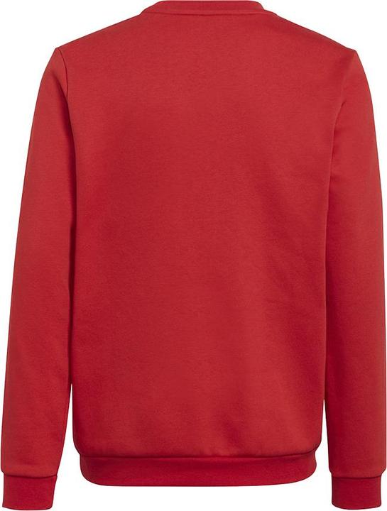 Produktbild adidas Entrada 22 Sweatshirt Kinder (128)