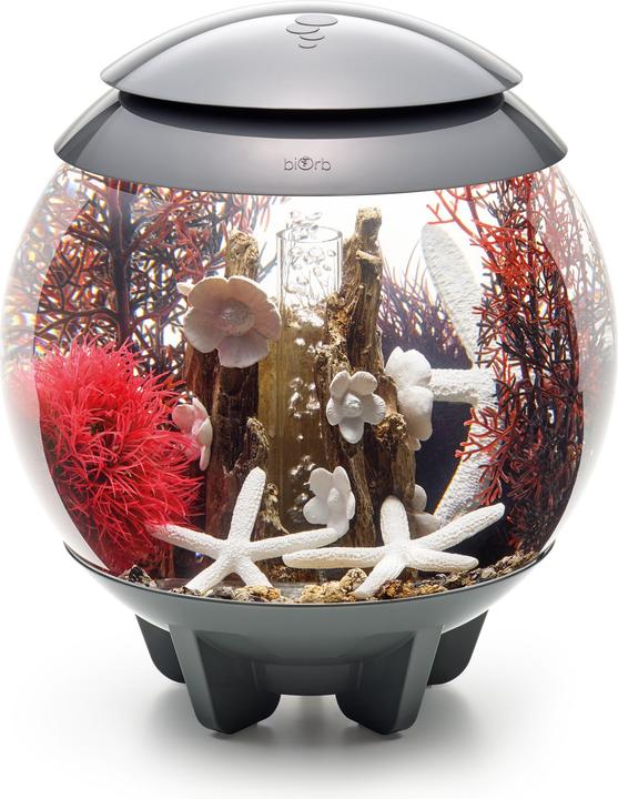 Image du produit Oase BiOrb Aquarium 15 Set décoratif (Décoration, autres éléments)