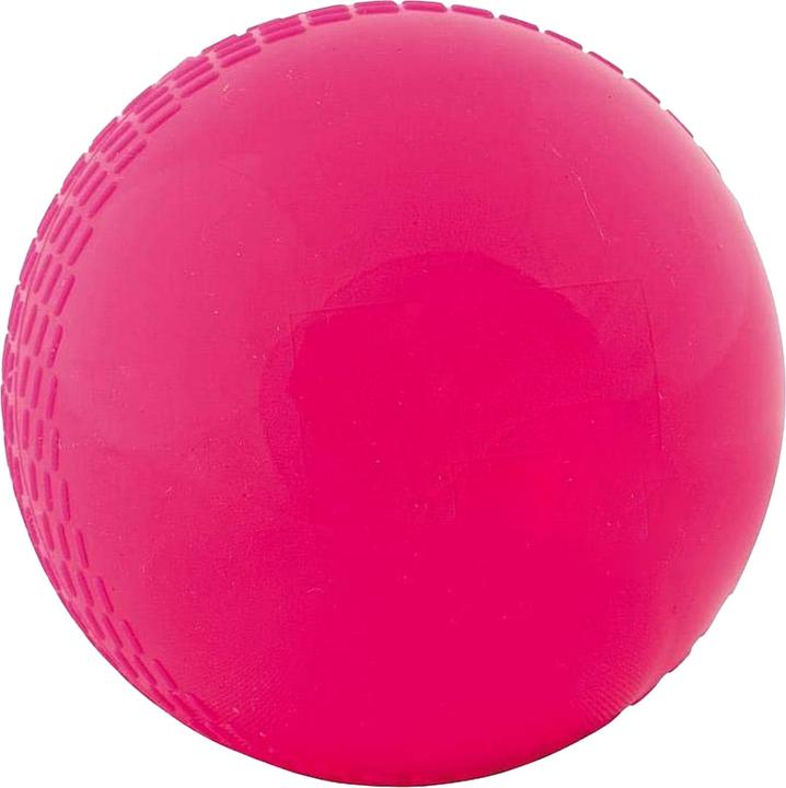 Actual product image Readers Windball Cricket Ball