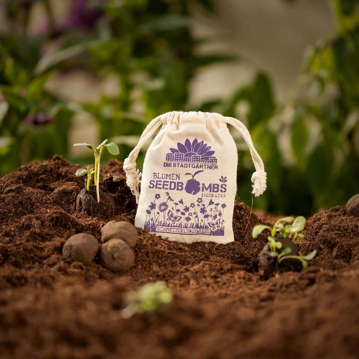 Actual product image Die Stadtgärtner Seed bombs butterfly meadow (Lawn reseed)