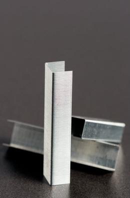 Immagine prodotto Rapid Standard (5000 x)