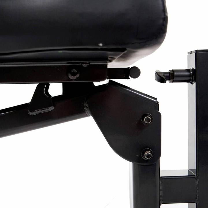 Actual product image Inspire FT1 training bench