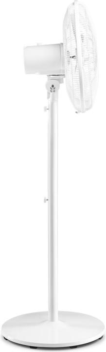 Actual product image Trotec Designer Pedestal Fan TVE 23 S (60 dB)