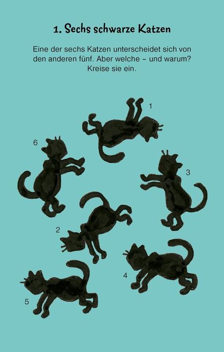 Actual product image Tricky puzzles (German)