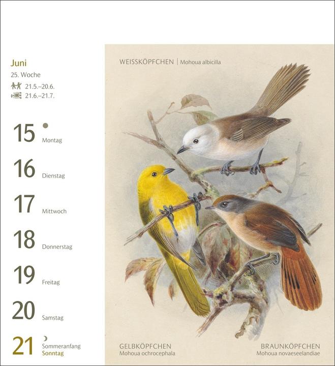 Actual product image Harenberg Vögel Postkartenkalender 2026 - Postkartenkalender mit 53 historischen Zeichnungen (Hardcover, German)