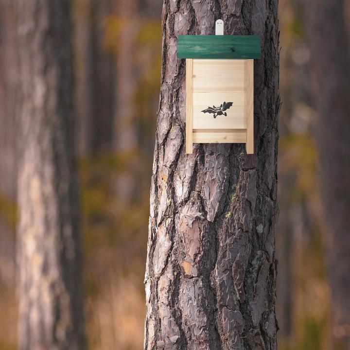 Image du produit Relaxdays Boîte à chauve-souris