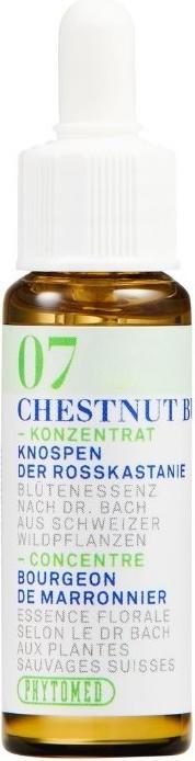 Produktbild Phytomed Bachblüten No7 Knospen der Rosskastanie (1 Stück, Tropfen, 24 g)
