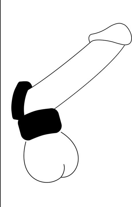 Actual product image PerfectFitBrand Cock & Ball (3.50 cm)