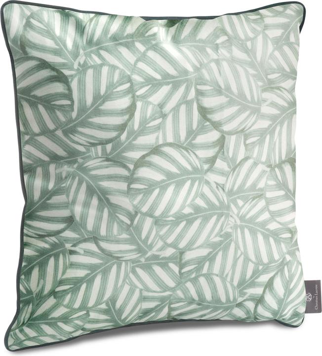 Actual product image CXL by Christian Lacroix Leaves (50 x 50 x 14 cm)