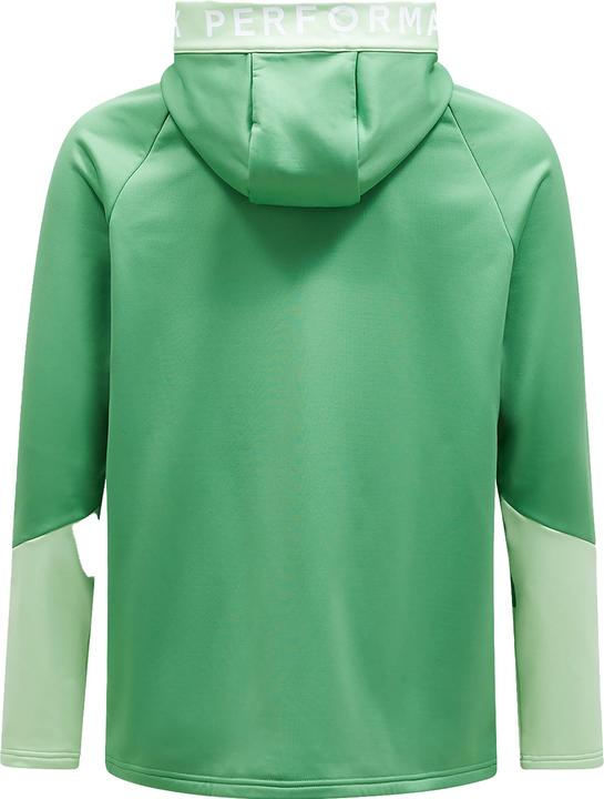 Actual product image Peak Performance Rider Zip Hood (M)