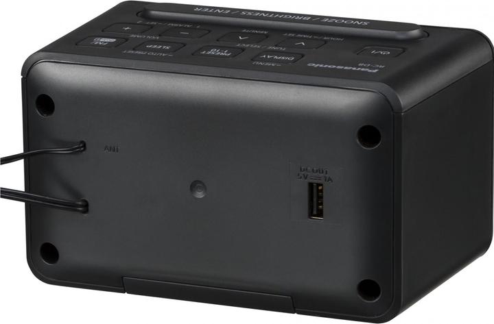 Actual product image Panasonic RC-D8EG (DAB+)