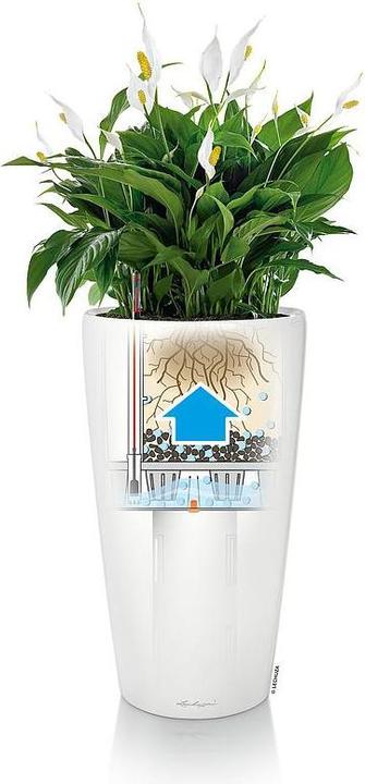 Actual product image Lechuza Planter Rondo Premium 40 (40 cm)