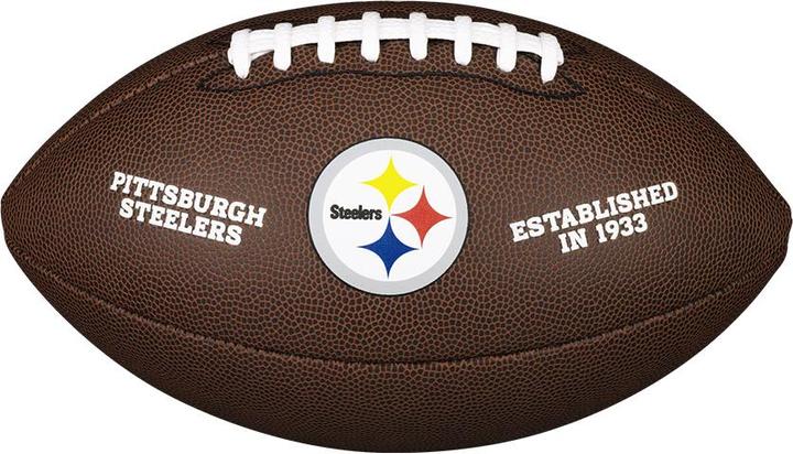 Wilson Nfl Licensed Ball Pt