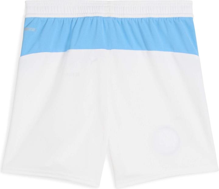 Actual product image Puma MCFC Shorts Replica Jr (164)