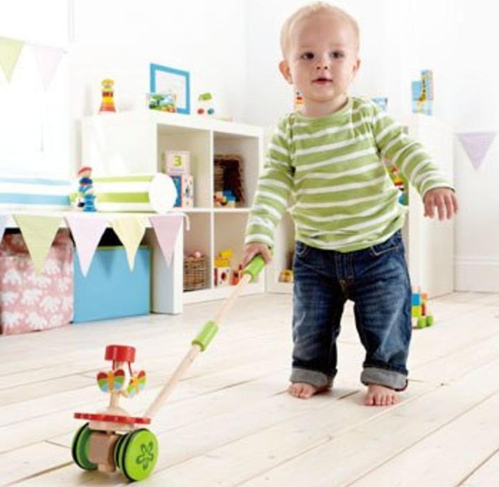 Actual product image Hape Push-Dancing Butterflies