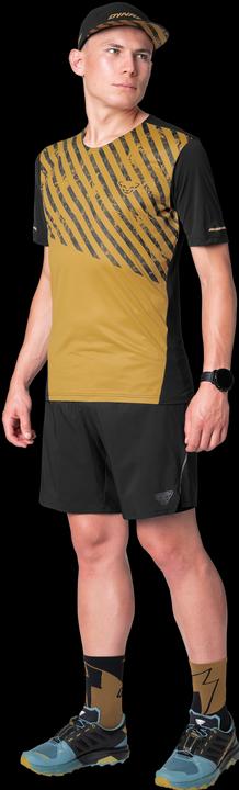 Actual product image Dynafit ALPINE PRO 2/1 SHORTS, Herren (XL)