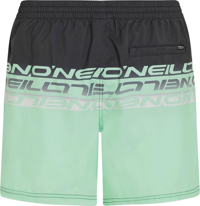 Actual product image O'Neill Cali Stripe 16" Swimshorts (XS)