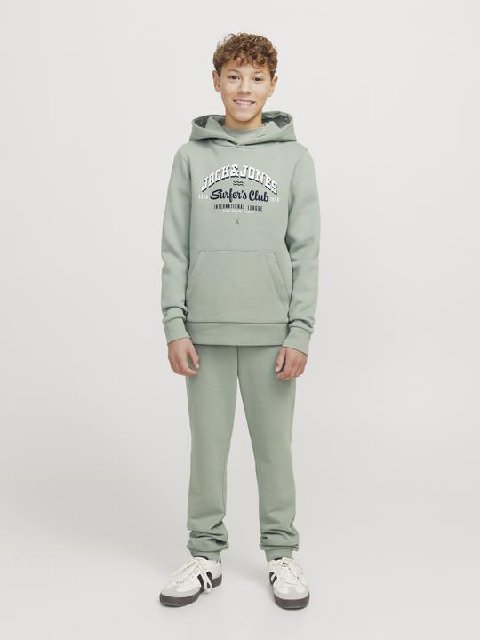 Actual product image Jack & Jones JJELOGO SWEAT HOOD 2 COL 24/25 NOOS JNR (164)